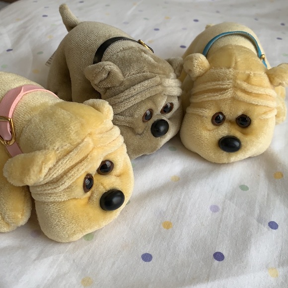 ❤️‍🔥 Two wrinkly faced puppies - Picture 5 of 8